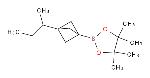 2-[3-(butan-2-yl)bicyclo[1.1.1]pentan-1-yl]-4,4,5,5-tetramethyl-1,3,2-dioxaborolane