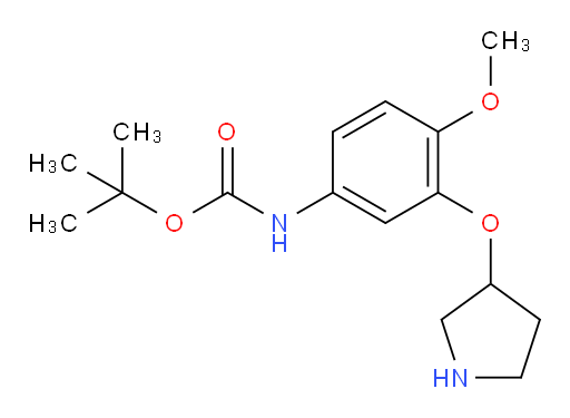 tert-butyl N-[4-methoxy-3-(pyrrolidin-3-yloxy)phenyl]carbamate