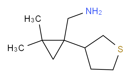 [2,2-dimethyl-1-(thiolan-3-yl)cyclopropyl]methanamine
