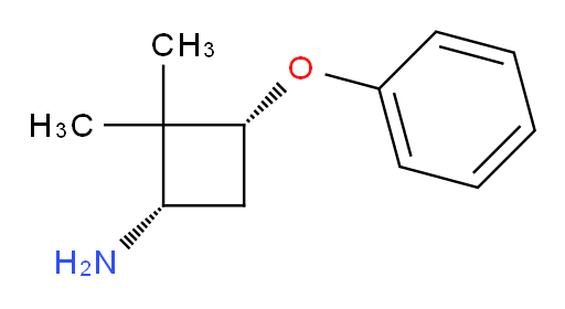 rac-(1R,3S)-2,2-dimethyl-3-phenoxycyclobutan-1-amine