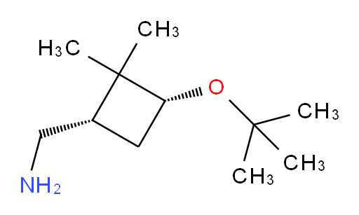 rac-[(1R,3S)-3-(tert-butoxy)-2,2-dimethylcyclobutyl]methanamine
