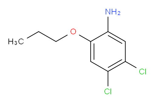 4,5-dichloro-2-propoxyaniline