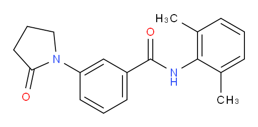 N-(2,6-dimethylphenyl)-3-(2-oxopyrrolidin-1-yl)benzamide