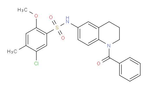 N-(1-Benzoyl-1,2,3,4-tetrahydro-6-quinolinyl)-5-chloro-2-methoxy-4-methylbenzenesulfonamide (ACI)