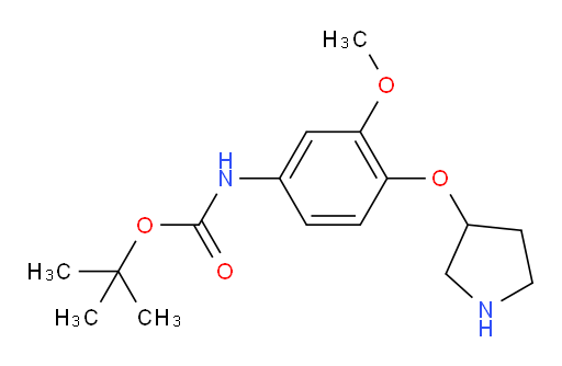 tert-butyl N-[3-methoxy-4-(pyrrolidin-3-yloxy)phenyl]carbamate