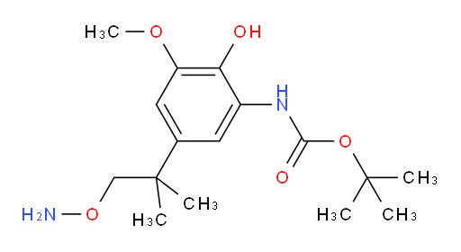 tert-butyl N-{5-[1-(aminooxy)-2-methylpropan-2-yl]-2-hydroxy-3-methoxyphenyl}carbamate