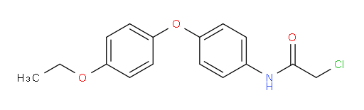 2-chloro-N-[4-(4-ethoxyphenoxy)phenyl]acetamide