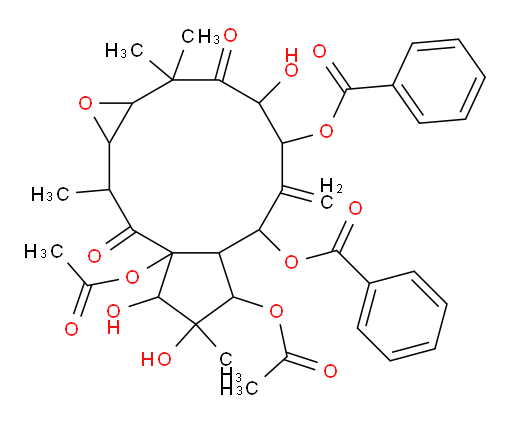 Kansuinin B