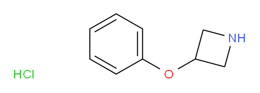 3-phenoxyazetidine hydrochloride