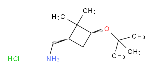 rac-[(1R,3S)-3-(tert-butoxy)-2,2-dimethylcyclobutyl]methanamine hydrochloride