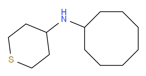 N-cyclooctylthian-4-amine