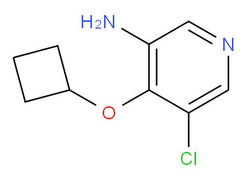 5-chloro-4-cyclobutoxypyridin-3-amine
