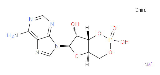 Adenosine, cyclic 3′,5′-(hydrogen phosphate), sodium salt (1:1) (ACI)