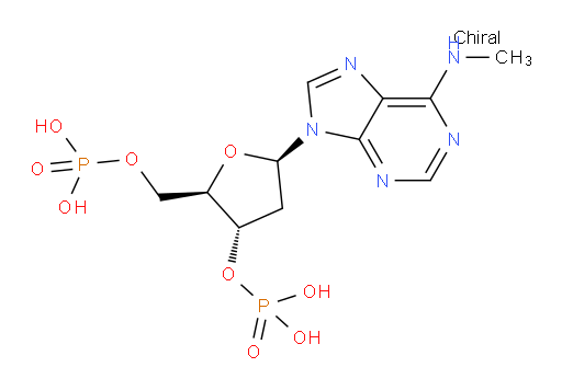 3′-Adenylic acid, 2′-deoxy-N-methyl-, 5′-(dihydrogen phosphate) (9CI, ACI)