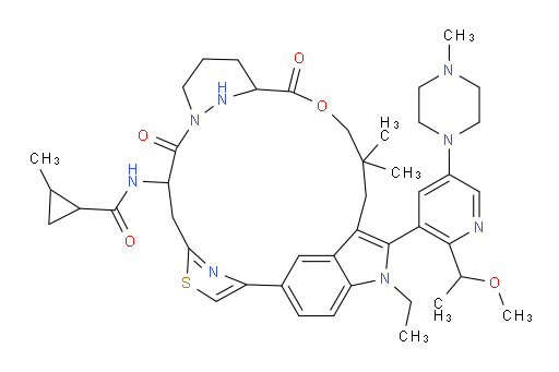 Daraxonrasib