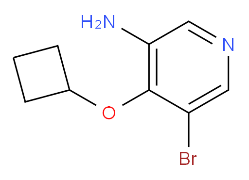 5-bromo-4-cyclobutoxypyridin-3-amine