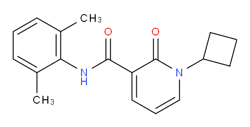 1-cyclobutyl-N-(2,6-dimethylphenyl)-2-oxo-1,2-dihydropyridine-3-carboxamide