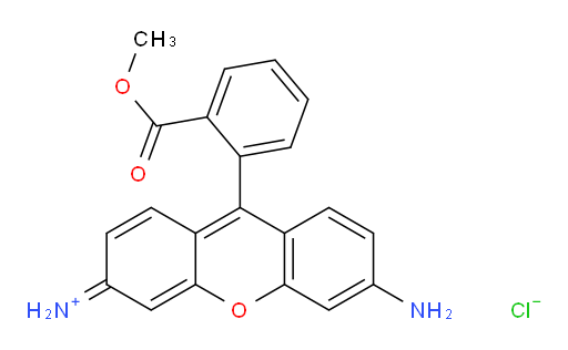 rh123;RHODAMINE 123;-Cellstain-Rh123;Rhodamine 123 ,98%;Rhodamine 123, pure;Rhodamine 123 Chloride;Rhodamine 123, pure, 99+%;RHODAMINE 123, 99+%, PURE;RHODAMINE 123 HYDROCHLORIDE;RHODAMINE METHYL ESTER CHLORIDE