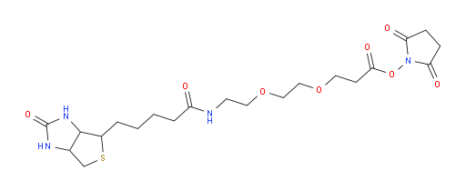 1H-Thieno[3,4-d]imidazole-4-pentanamide, N-[2-[2-[3-[(2,5-dioxo-1-pyrrolidinyl)oxy]-3-oxopropoxy]ethoxy]ethyl]hexahydro-2-oxo- (9CI)