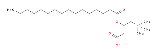 (±)-Palmitoyl carnitine