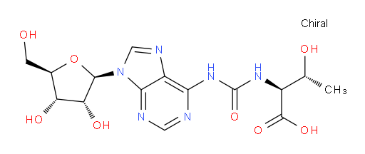 N6-Threonylcarbamoyladenosine