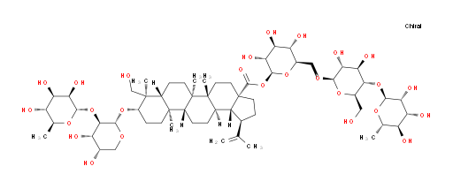 Pulchinenoside B4