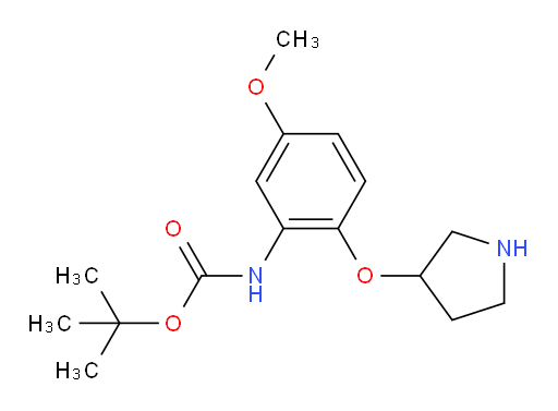 tert-butyl N-[5-methoxy-2-(pyrrolidin-3-yloxy)phenyl]carbamate