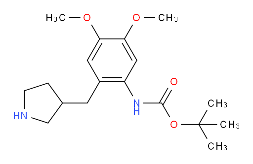 tert-butyl N-{4,5-dimethoxy-2-[(pyrrolidin-3-yl)methyl]phenyl}carbamate
