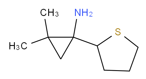 2,2-dimethyl-1-(thiolan-2-yl)cyclopropan-1-amine