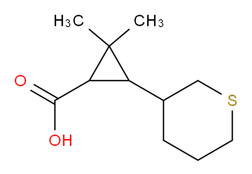 2,2-dimethyl-3-(thian-3-yl)cyclopropane-1-carboxylic acid