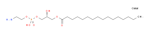 1-Palmitoyl-2-hydroxy-sn-glycero-3-phosphoethanolamine