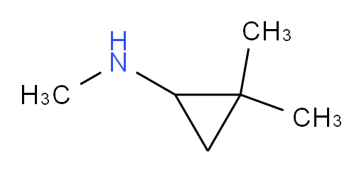 N,2,2-trimethylcyclopropan-1-amine