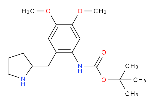 tert-butyl N-{4,5-dimethoxy-2-[(pyrrolidin-2-yl)methyl]phenyl}carbamate