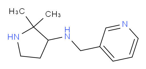 2,2-dimethyl-N-[(pyridin-3-yl)methyl]pyrrolidin-3-amine