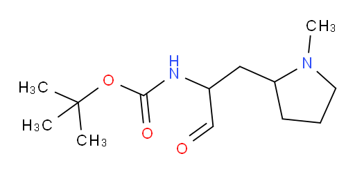 tert-butyl N-[1-(1-methylpyrrolidin-2-yl)-3-oxopropan-2-yl]carbamate