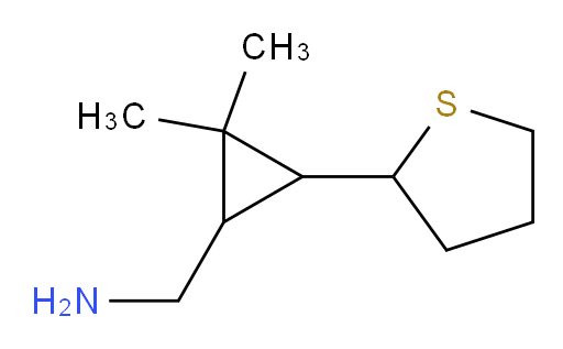 [2,2-dimethyl-3-(thiolan-2-yl)cyclopropyl]methanamine