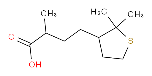 4-(2,2-dimethylthiolan-3-yl)-2-methylbutanoic acid