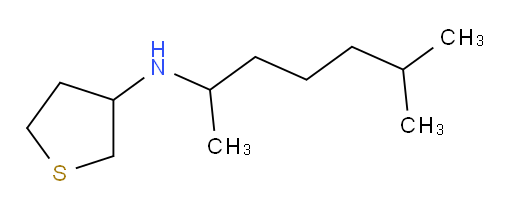 N-(6-methylheptan-2-yl)thiolan-3-amine