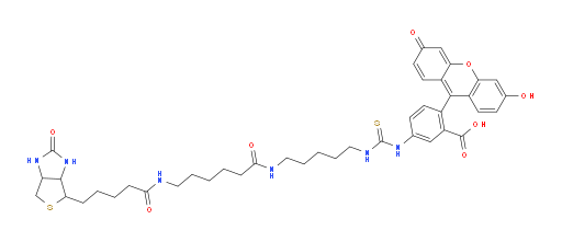 5-[[[[5-[[6-[[5-[(3aS,4S,6aR)-Hexahydro-2-oxo-1H-thieno[3,4-d]imidazol-4-yl]-1-oxopentyl]amino]-1-oxohexyl]amino]pentyl]amino]thioxomethyl]amino]-2-(6-hydroxy-3-oxo-3H-xanthen-9-yl)benzoic acid (ACI)