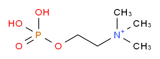 N,N,N-Trimethyl-2-(phosphonooxy)ethanaminium (ACI)