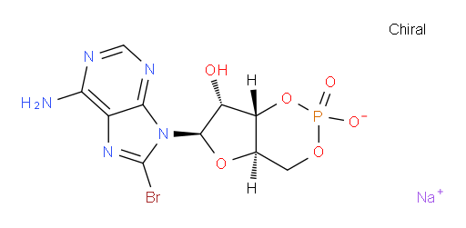 Adenosine, 8-bromo-, cyclic 3′,5′-(hydrogen phosphate), sodium salt (1:1)