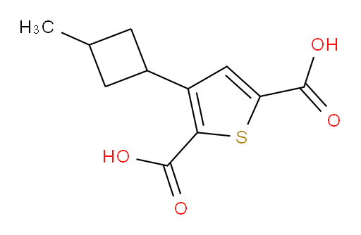 3-(3-methylcyclobutyl)thiophene-2,5-dicarboxylic acid