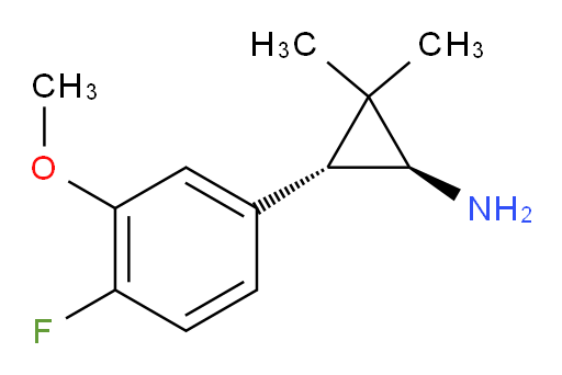 rac-(1R,3S)-3-(4-fluoro-3-methoxyphenyl)-2,2-dimethylcyclopropan-1-amine