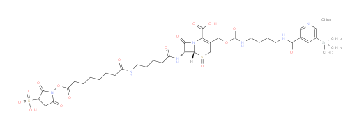 (6R,7R)-7-(5-(8-((2,5-dioxo-3-sulfopyrrolidin-1-yl)oxy)-8-oxooctanamido)pentanamido)-8-oxo-3-((((4-(5-(trimethylstannyl)nicotinamido)butyl)carbamoyl)oxy)methyl)-5-thia-1-azabicyclo[4.2.0]oct-2-ene-2-carboxylic acid 5-oxide