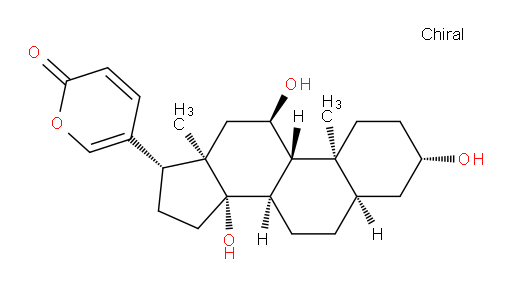 Gamabufotalin (6CI)