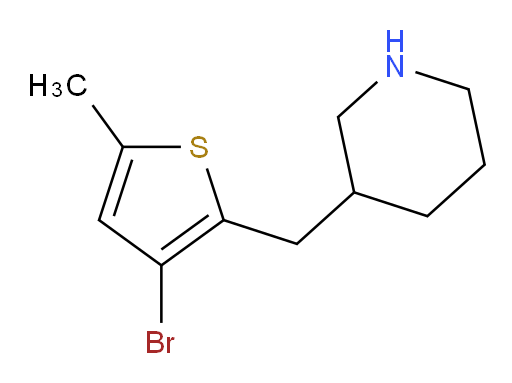 3-[(3-bromo-5-methylthiophen-2-yl)methyl]piperidine