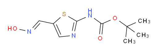 tert-butyl N-{5-[(hydroxyimino)methyl]-1,3-thiazol-2-yl}carbamate