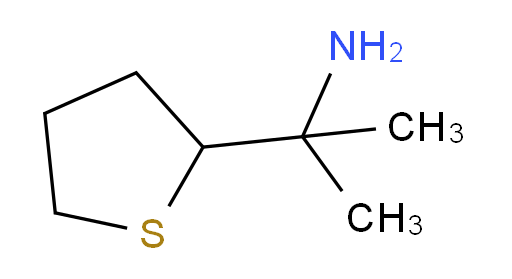 2-(thiolan-2-yl)propan-2-amine