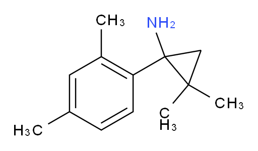 1-(2,4-dimethylphenyl)-2,2-dimethylcyclopropan-1-amine