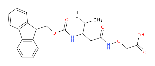 2-{[3-({[(9H-fluoren-9-yl)methoxy]carbonyl}amino)-4-methylpentanamido]oxy}acetic acid